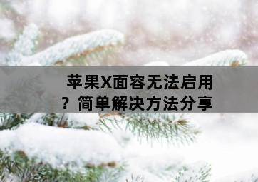 苹果X面容无法启用?简单解决方法分享 苹果X面容无法启用?简单解决方法分享-图片2